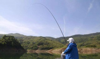 深水如何做钓黄尾 深水如何做钓黄尾鱼饵