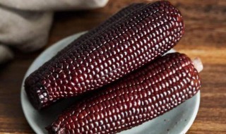 黑玉米为什么不能吃 黑玉米为什么不能吃 黑玉米是转基因食品吗