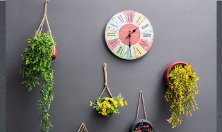 如何做挂壁式花盆（如何做挂壁式花盆图片）