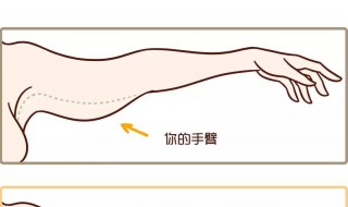 甩臂的正确方法 甩臂的正确方法图片