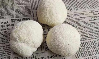 猴头菇冷冻的保存方法 猴头菇冷冻的保存方法窍门