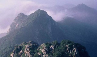 泰山海拔高度 泰山海拔高度约1545什么?