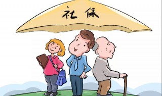 怎样查社保交了多少年（微信上怎样查社保交了多少年）