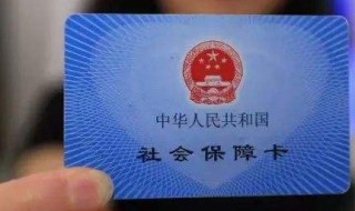 灵活就业社保怎么交（个人灵活就业社保怎么交）