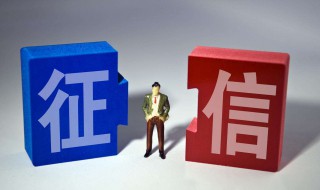 如何查看个人央行征信报告 如何查看个人央行征信报告结果