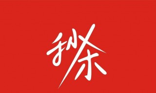 如何查看淘宝订单编号（如何查看淘宝订单编号信息）