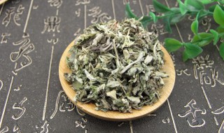 正确的艾叶泡脚方法（野生艾叶采摘最佳时间）