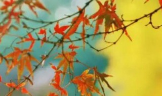 秋分时间 秋分时间几月几日