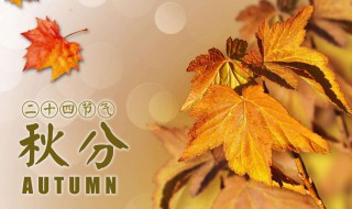秋分象征着什么（秋分象征着什么动物）