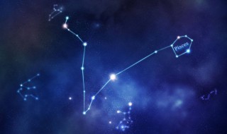 双子子座和什么星座最配（双子座和什么星座最配(5个以上）