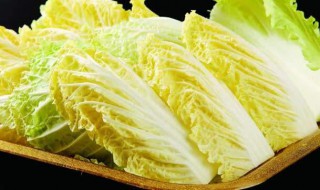 白菜苗几天浇一次水（白菜苗多久浇水一次）