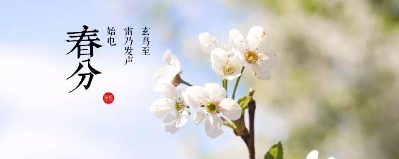 春分的由来（春分的由来是什么）