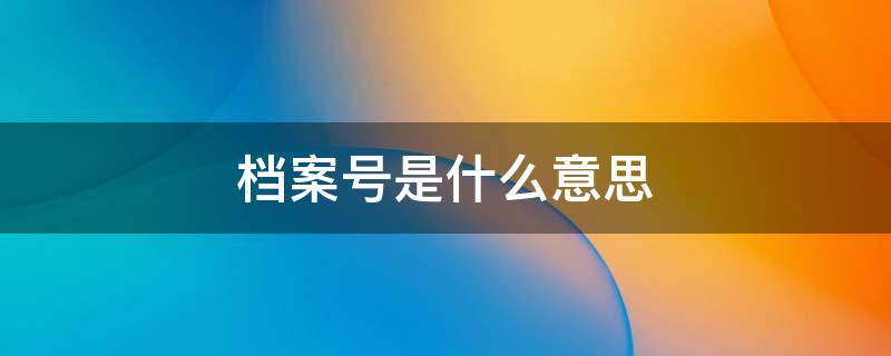 档案号是什么意思 上一年度档案号是什么意思