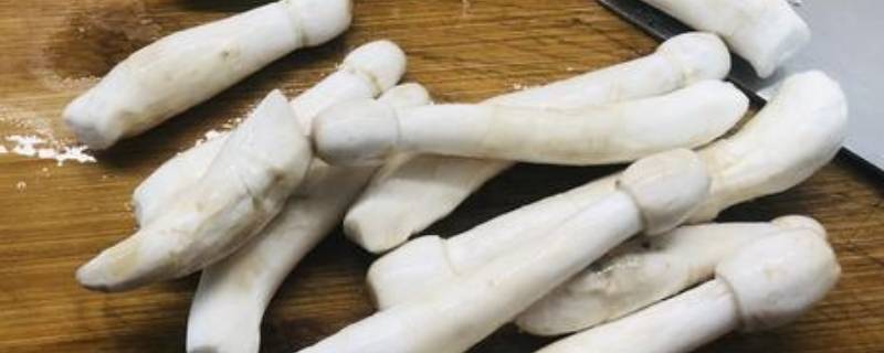 长蘑菇叫什么名字 鸡腿菇