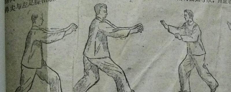 五禽是哪五畜 五禽是哪五畜动物