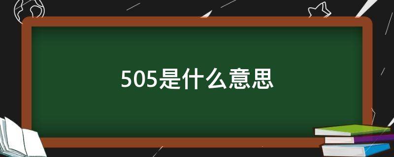505是什么意思 电脑505是什么意思