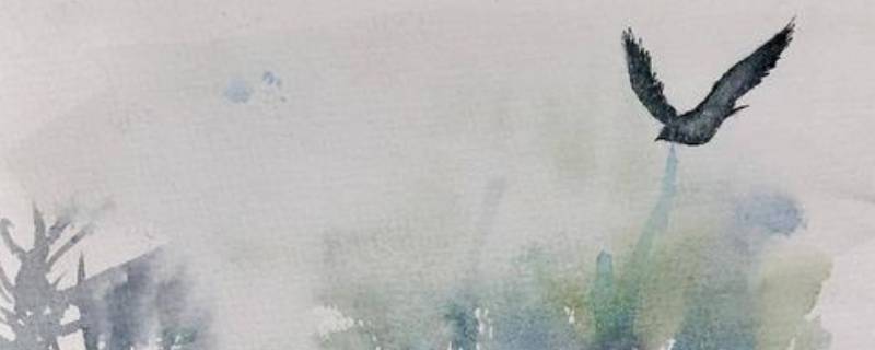 无脚鸟的寓意是什么（什么叫无脚鸟）