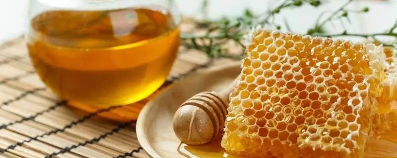 蜂蜜水要热水还是冷水泡 蜂蜜水要热水还是冷水泡呢