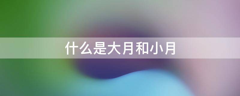 什么是大月和小月（一年什么是大月和小月）