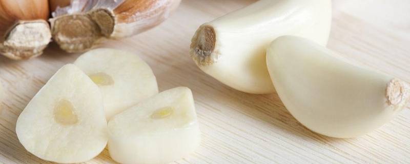 干大蒜怎样可以储存一年（干大蒜怎样可以储存一年呢）