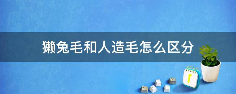 獭兔毛和人造毛怎么区分（獭兔毛和人造毛怎么区分图片）