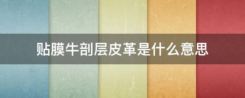 贴膜牛剖层皮革是什么意思 牛剖层覆膜皮是真皮吗?