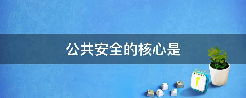 公共安全的核心是 公共安全的核心是(