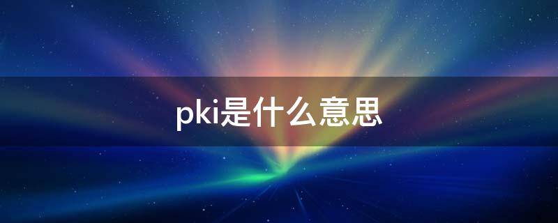 pki是什么意思（kpi是业绩的意思吗）