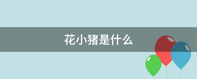 花小猪是什么（花小猪是什么公司开的）