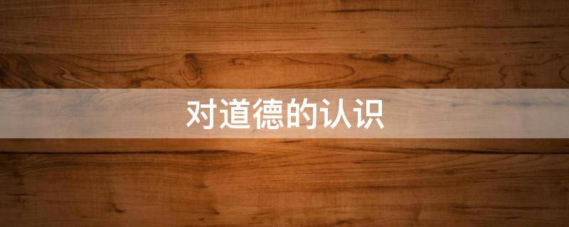 对道德的认识 对道德的认识和理解