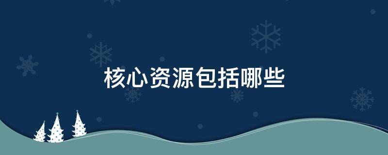 核心资源包括哪些（核心资源包括哪些内容）