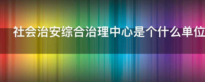 社会治安综合治理中心是个什么单位 社会治安综合治理中心是什么单位武汉市