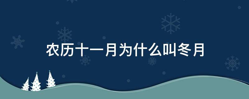 农历十一月为什么叫冬月 农历十一月为什么叫冬月?