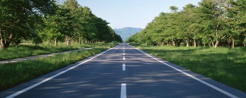 城市道路分为哪四类（城市道路分为哪四类类型）
