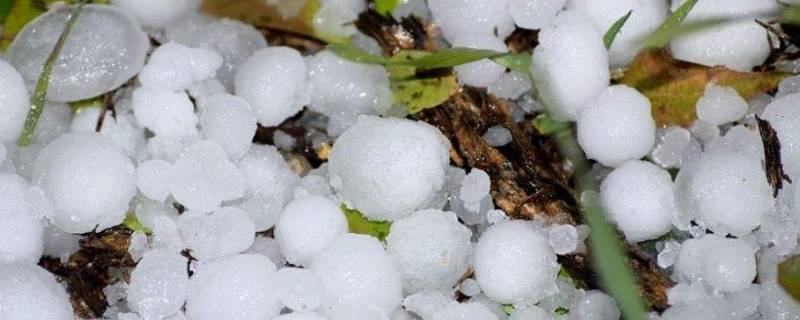 冰雹是哪个季节下的（冰雹是哪个季节下的,为什么）