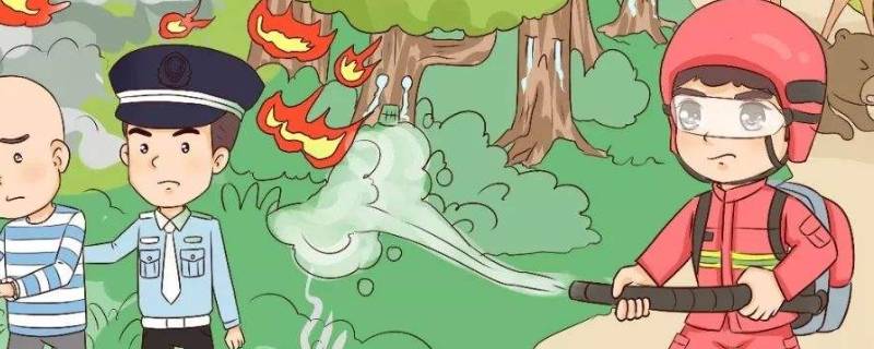 草原森林防火常识（草原森林防火常识宣传）