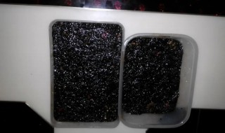 阿胶要放冰箱吗（黄酒泡阿胶要放冰箱吗）