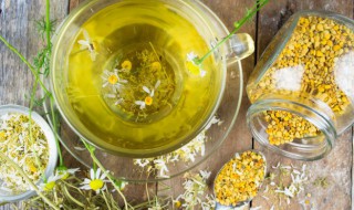 干菊花能放冰箱保存吗（干菊花能放冰箱保存吗）