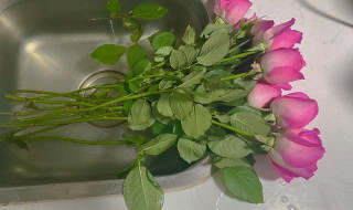怎么醒花 怎么醒花?需要先剪枝吗?